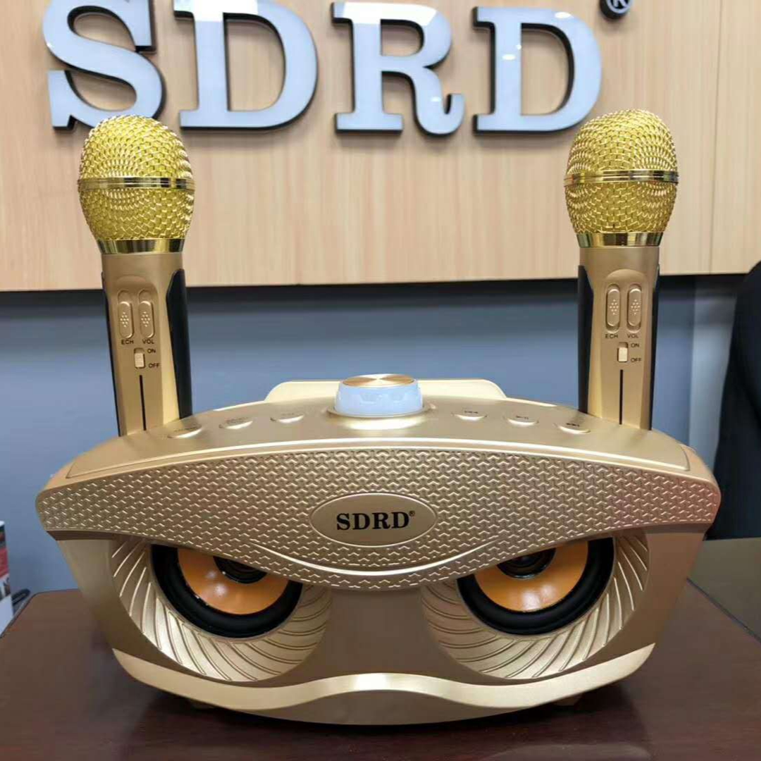 Loa karaoke bluetooth SD303